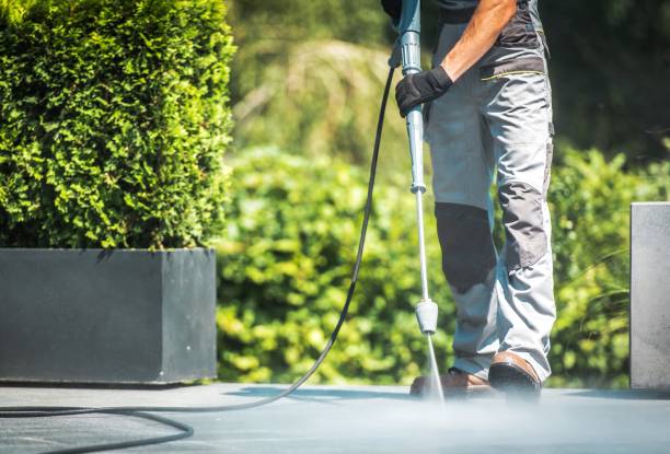 Best Sidewalk and Walkway Cleaning  in Williston Highlands, FL