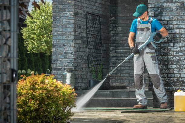 Best Spring Cleaning  in Williston Highlands, FL